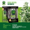 IGROWCAN - Royal Critical Auto